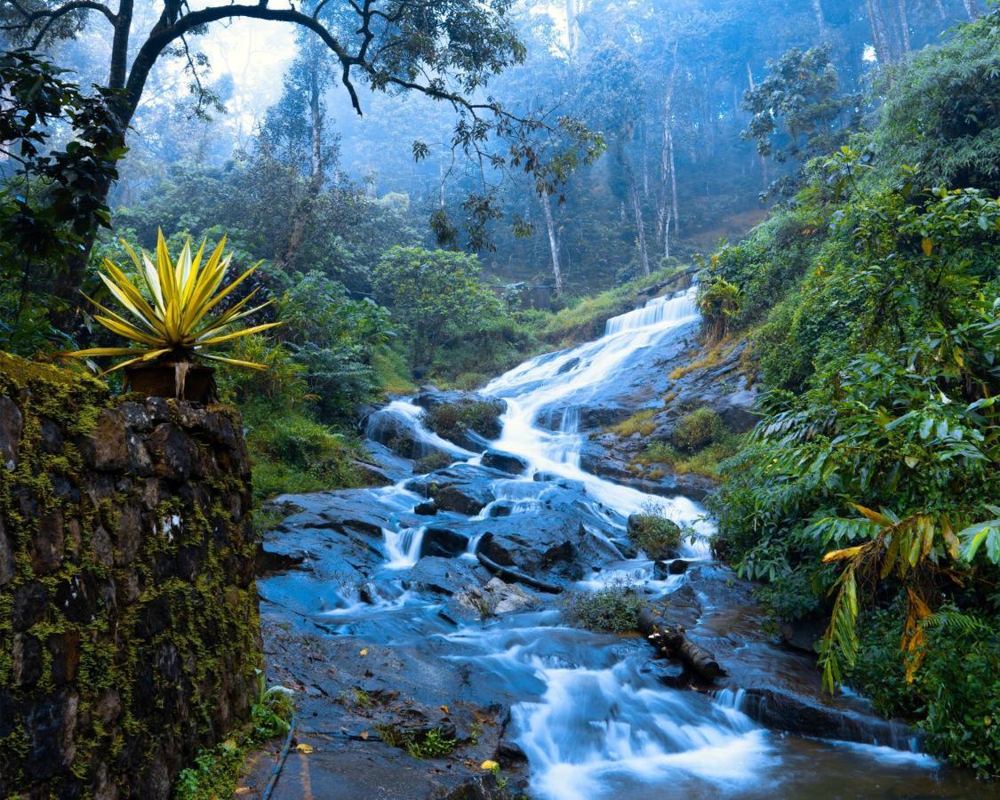 Falling Waters Munnar Luaran gambar