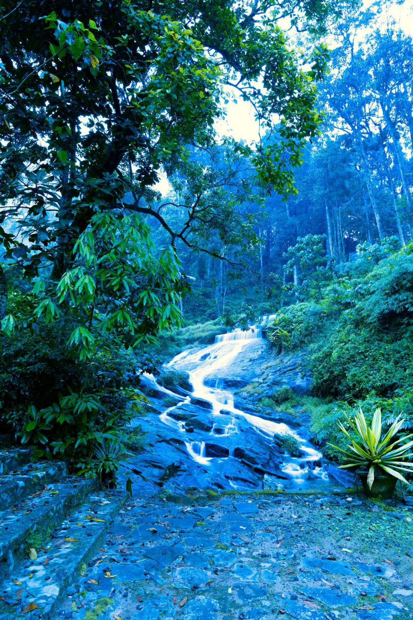 Falling Waters Munnar Luaran gambar