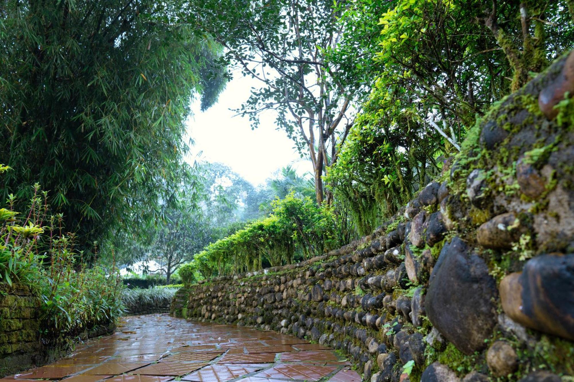 Falling Waters Munnar Luaran gambar